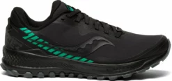 Saucony Women's Peregrine ICE+ 2 (1 - Black/Jade)