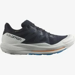 Salomon Men’s Pulsar Trail Gore-Tex (Night Sky/Lunar Rock/Indigo Bunting)