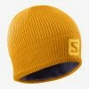 Salomon Logo Beanie (Autumn Blaze/Citrus)