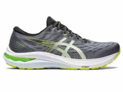 Asics Men’s GT-2000 11 (020 - Metropolis/Lime Zest)